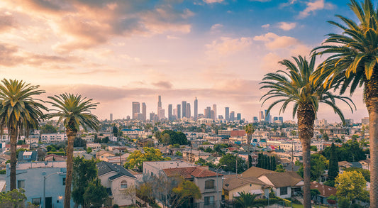 7 Best Vegan Cafe Spots in Los Angeles 2025