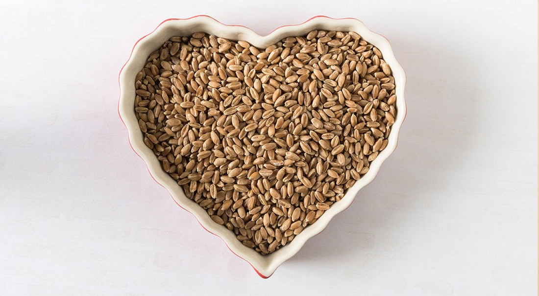 7 Best Rye Berries for Optimal Gut Health (2025)