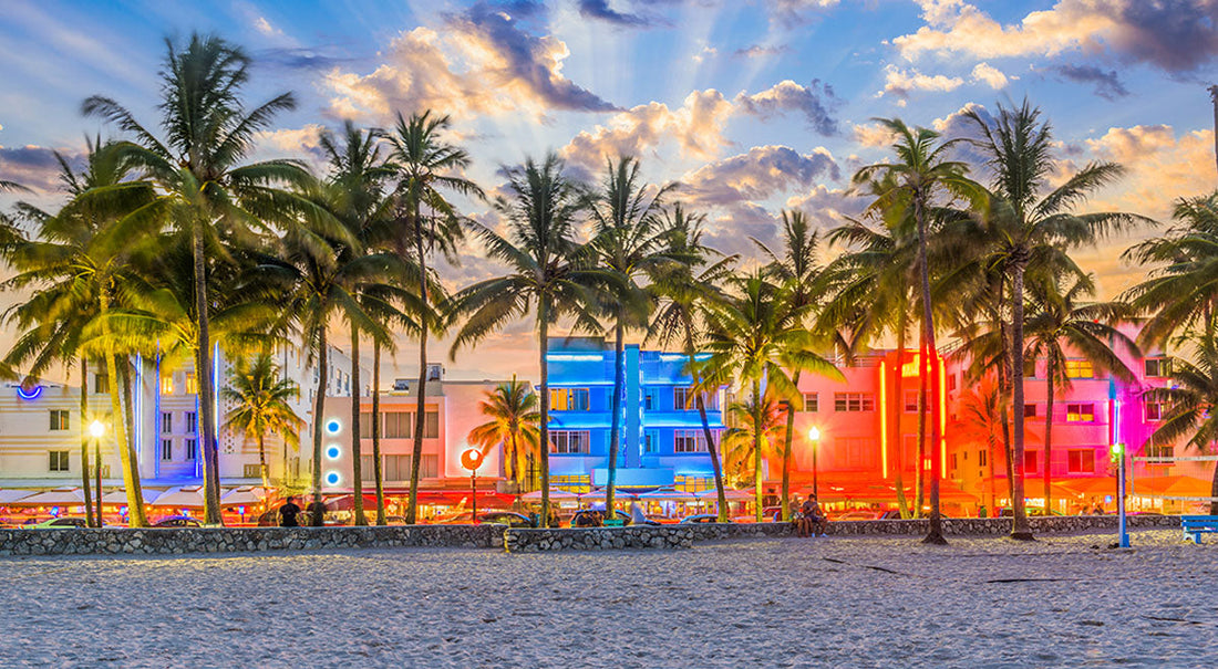 7 Best Vegan Cafe Spots in Miami 2025