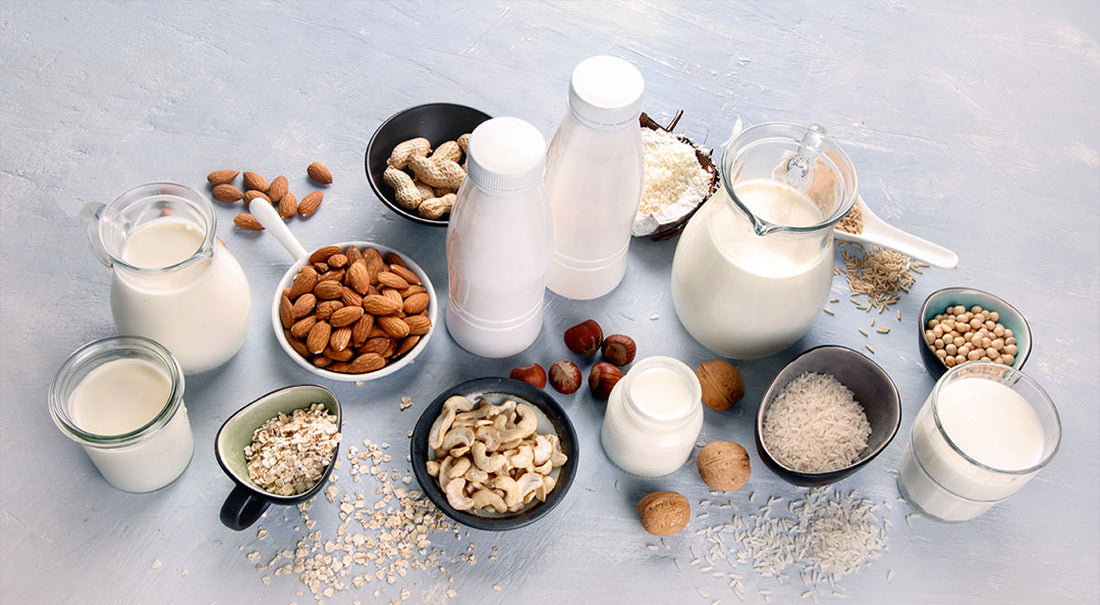 7 Best Vegan Milk Options for your Diet (2024)